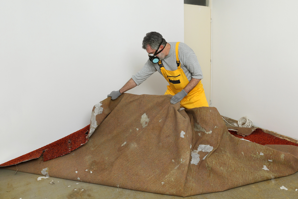 carpet cleaning