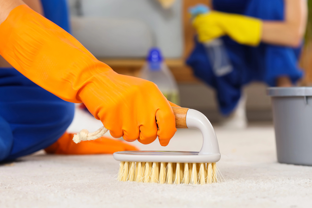 tile cleaning