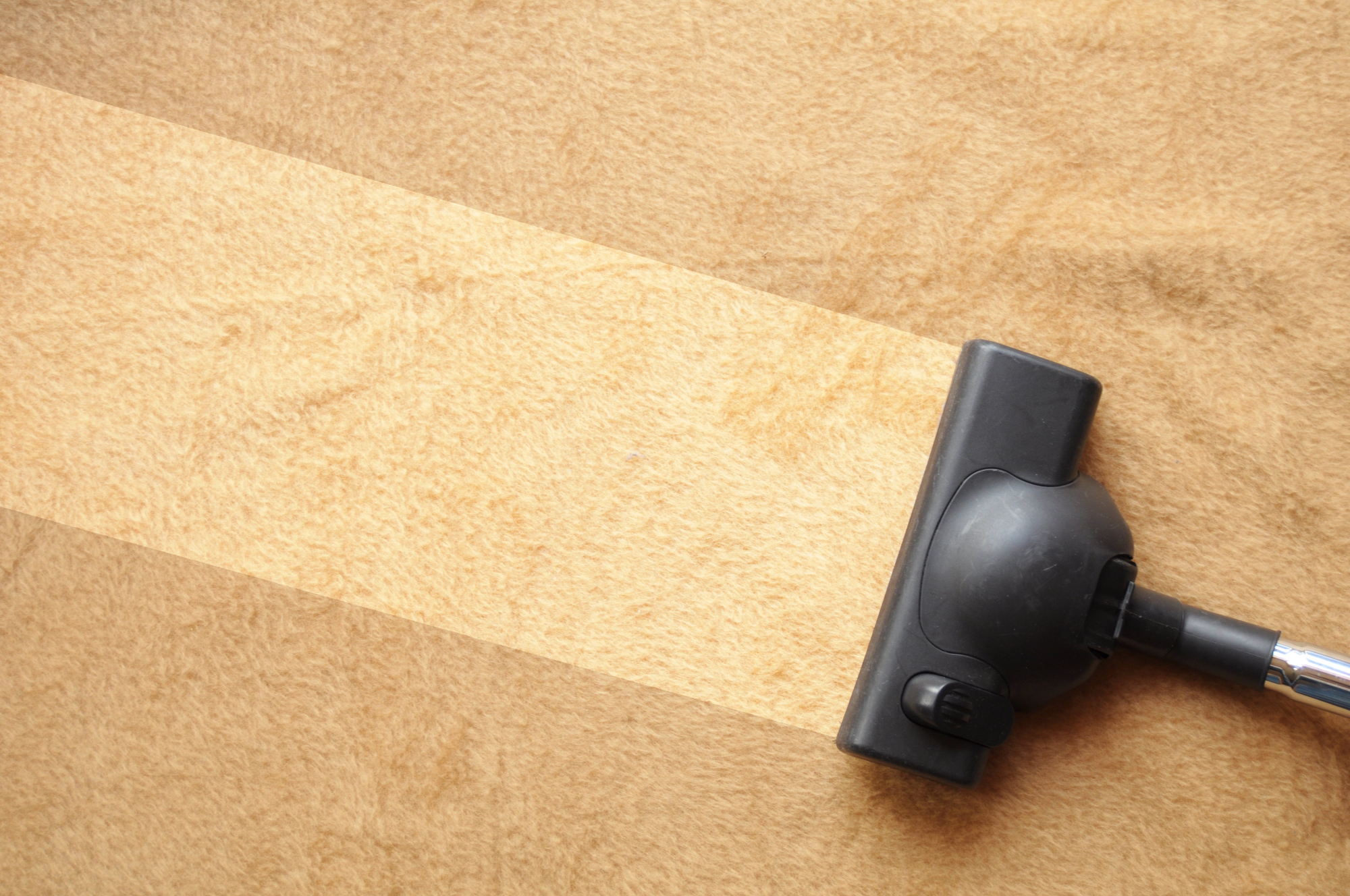 carpet cleaning in Boston